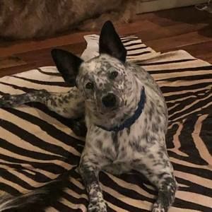 Meet your Posher, Becky